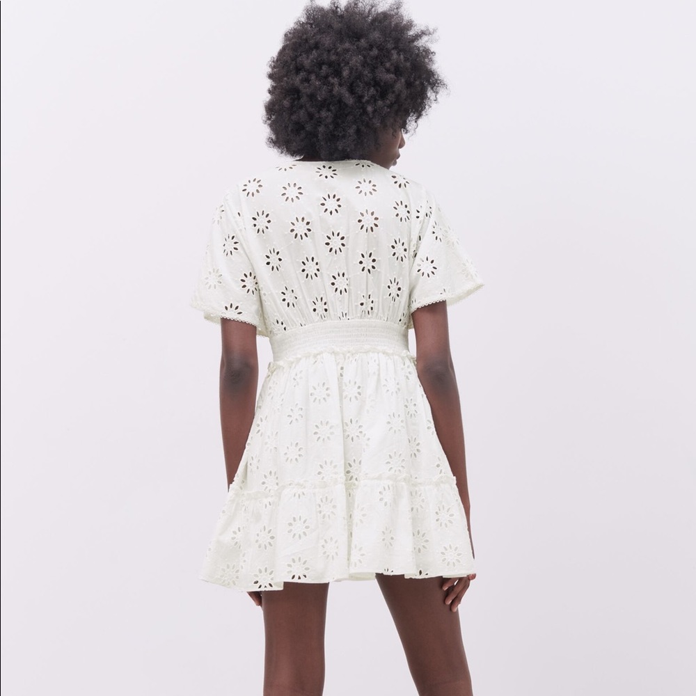 Zara Openwork Embroidered Mini Dress - Picture 3 of 8